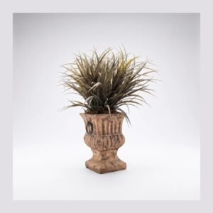 A terracotta urn with handles