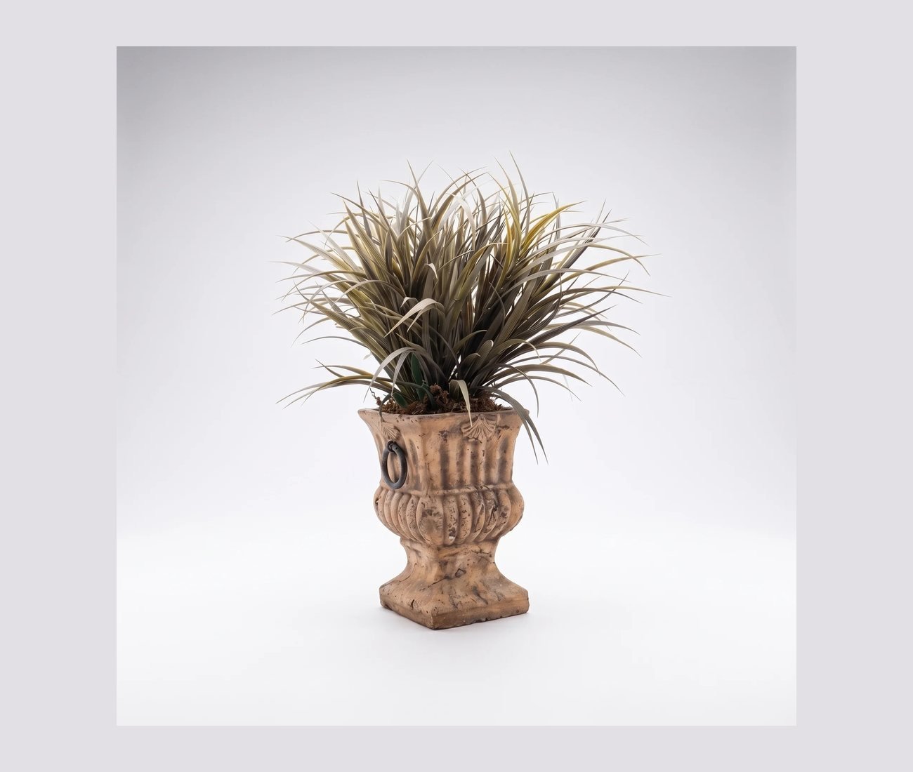 A terracotta urn with handles